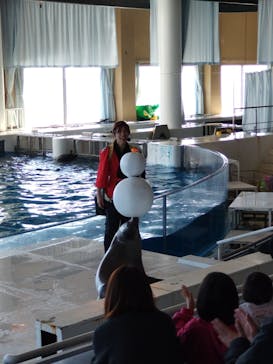 アクアワールド茨城県大洗水族館に投稿された画像（2026/1/7）