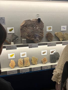 特別展「大絶滅展―生命史のビッグファイブ」に投稿された画像（2026/1/7）