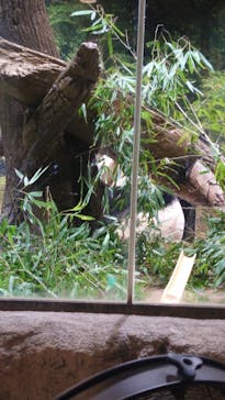 恩賜上野動物園に投稿された画像（2026/1/7）