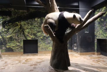 恩賜上野動物園に投稿された画像（2026/1/7）