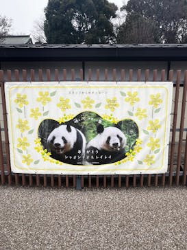 恩賜上野動物園に投稿された画像（2026/1/7）