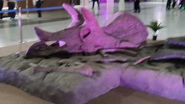 吠える！動く！恐竜ミュージアムに投稿された画像（2026/1/7）