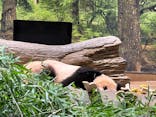 恩賜上野動物園に投稿された画像（2026/1/7）