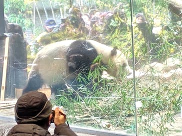 恩賜上野動物園に投稿された画像（2026/1/7）