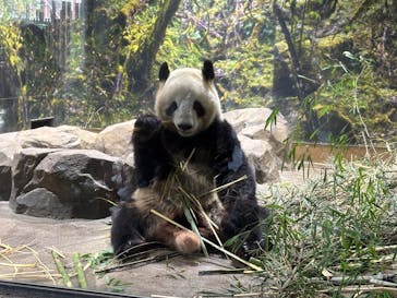 恩賜上野動物園に投稿された画像（2026/1/7）