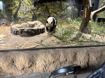 恩賜上野動物園に投稿された画像（2026/1/7）