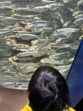 サンシャイン水族館に投稿された画像（2026/1/7）