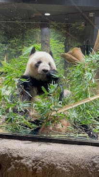 恩賜上野動物園に投稿された画像（2026/1/7）