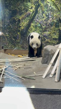 恩賜上野動物園に投稿された画像（2026/1/7）