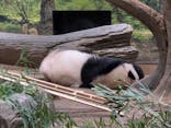 恩賜上野動物園に投稿された画像（2026/1/7）