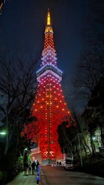 東京タワーに投稿された画像（2026/1/7）