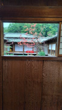 仙巌園に投稿された画像（2026/1/7）