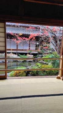 仙巌園に投稿された画像（2026/1/7）