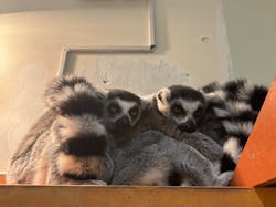 アニタッチららぽーと名古屋みなとアクルスに投稿された画像（2026/1/7）