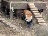 恩賜上野動物園に投稿された画像（2026/1/7）