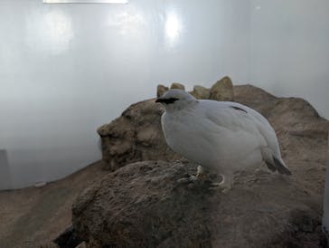 恩賜上野動物園に投稿された画像（2026/1/7）