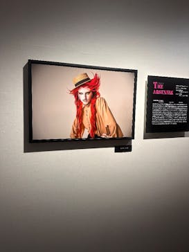 ヨシダナギ写真展　HEROES-RELOADED-に投稿された画像（2026/1/7）