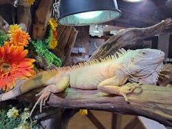 NARA IKIMONO MUSEUMに投稿された画像（2026/1/7）