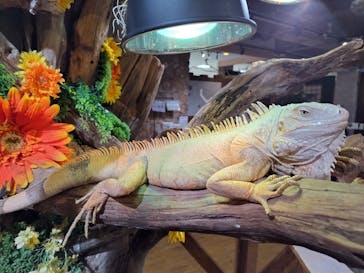 NARA IKIMONO MUSEUMに投稿された画像（2026/1/7）