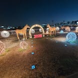 東京メガイルミに投稿された画像（2026/1/7）