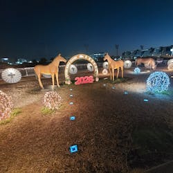 東京メガイルミに投稿された画像（2026/1/7）