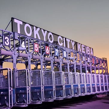 東京メガイルミに投稿された画像（2026/1/7）