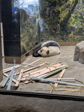 恩賜上野動物園に投稿された画像（2026/1/7）