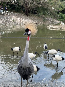 ネオパークオキナワに投稿された画像（2026/1/7）