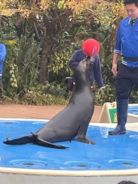 サンシャイン水族館に投稿された画像（2026/1/7）