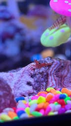 ひらかたパークに投稿された画像（2026/1/7）