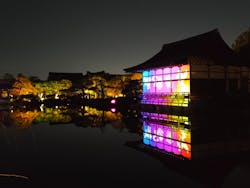 NAKEDヨルマイリ 2025-26 平安神宮に投稿された画像（2026/1/7）