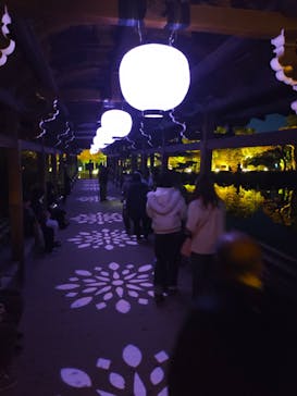 NAKEDヨルマイリ 2025-26 平安神宮に投稿された画像（2026/1/7）