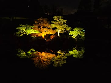 NAKEDヨルマイリ 2025-26 平安神宮に投稿された画像（2026/1/7）