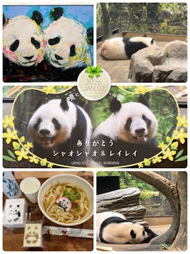 恩賜上野動物園に投稿された画像（2026/1/7）