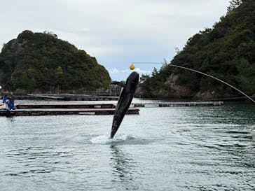 太地町立くじらの博物館に投稿された画像（2026/1/7）