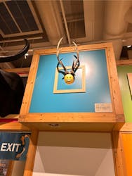 国立科学博物館に投稿された画像（2026/1/7）