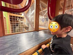 国立科学博物館に投稿された画像（2026/1/7）