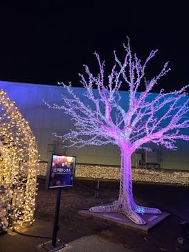 東京メガイルミに投稿された画像（2026/1/7）