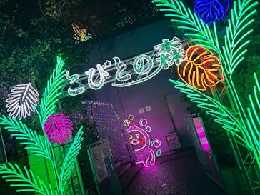 アクロス福岡イルミネーションに投稿された画像（2026/1/7）