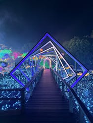 伊豆高原グランイルミに投稿された画像（2026/1/7）