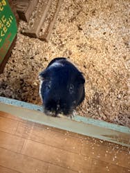 伊豆高原グランイルミに投稿された画像（2026/1/7）