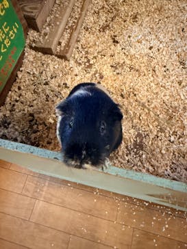 伊豆高原グランイルミに投稿された画像（2026/1/7）