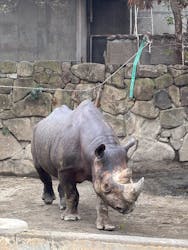恩賜上野動物園に投稿された画像（2026/1/7）