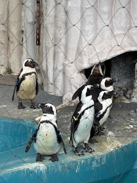 恩賜上野動物園に投稿された画像（2026/1/7）