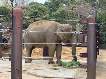 恩賜上野動物園に投稿された画像（2026/1/7）