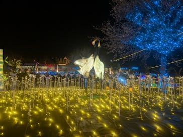 伊豆高原グランイルミに投稿された画像（2026/1/7）