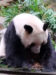 恩賜上野動物園に投稿された画像（2026/1/7）