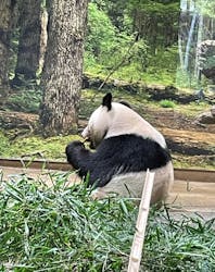 恩賜上野動物園に投稿された画像（2026/1/7）