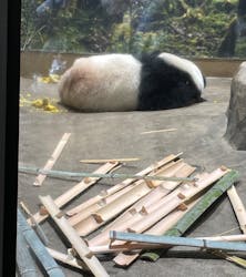 恩賜上野動物園に投稿された画像（2026/1/7）