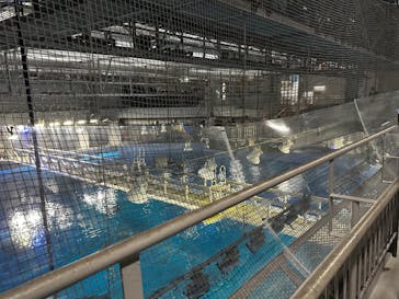 沖縄美ら海水族館に投稿された画像（2026/1/7）